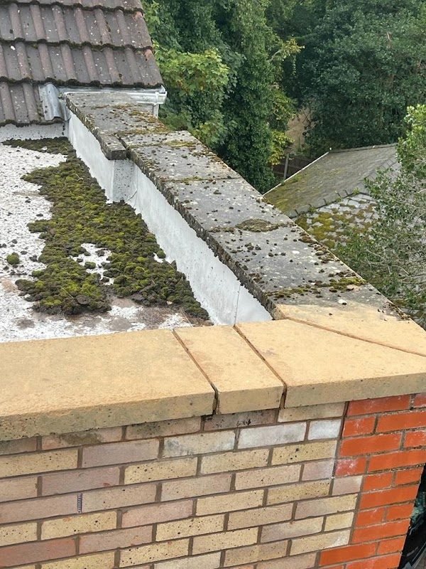 Flat roof moss before treatment