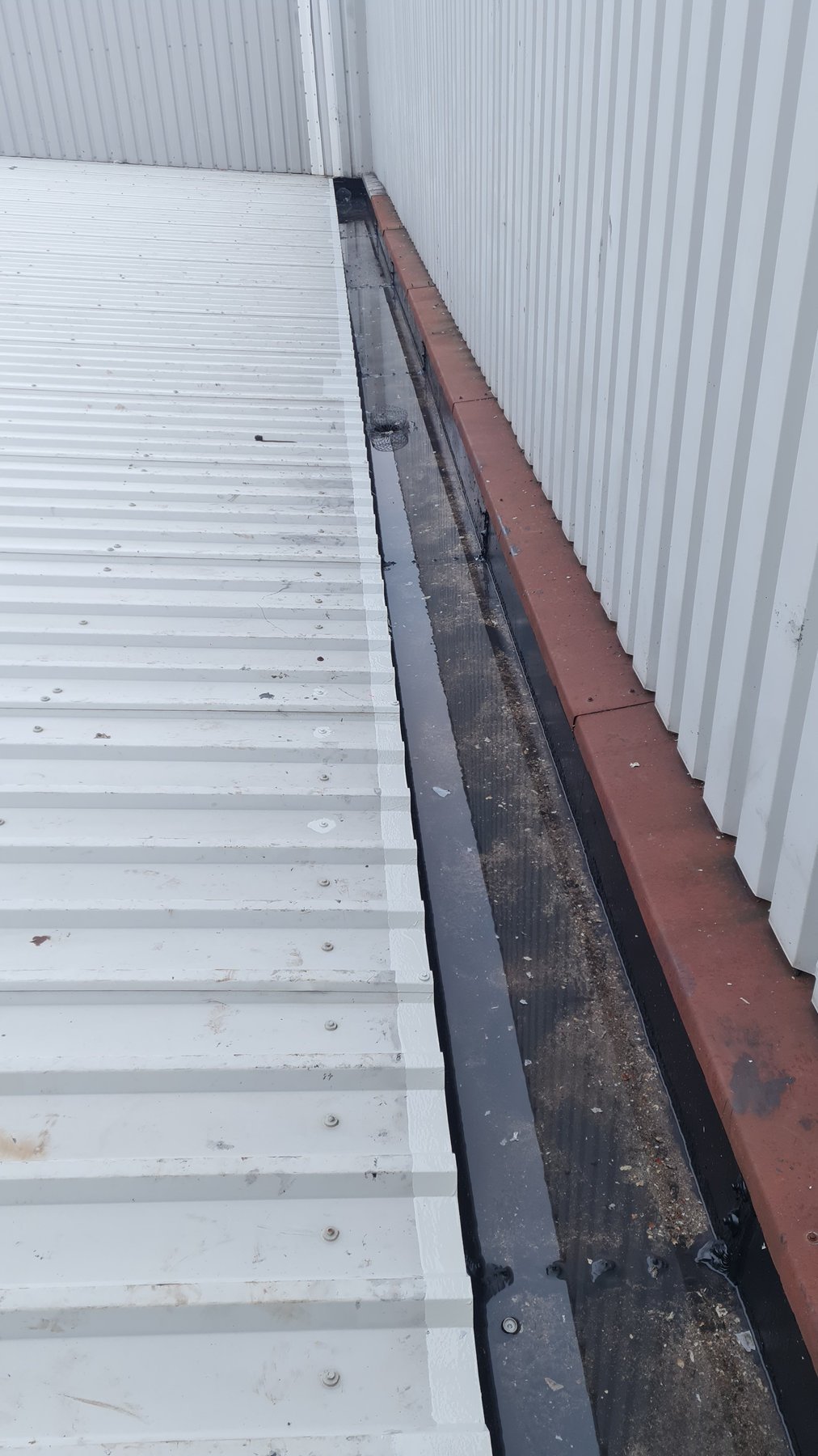 The gutter as found, before any work starts