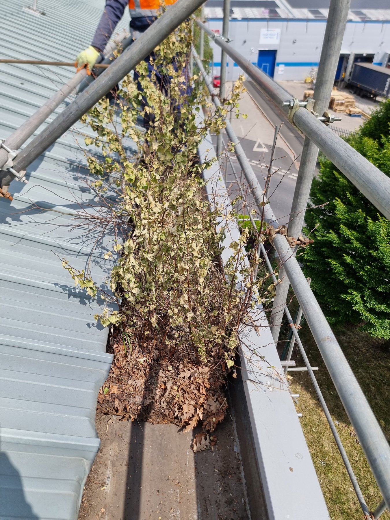 Gutter cleaning