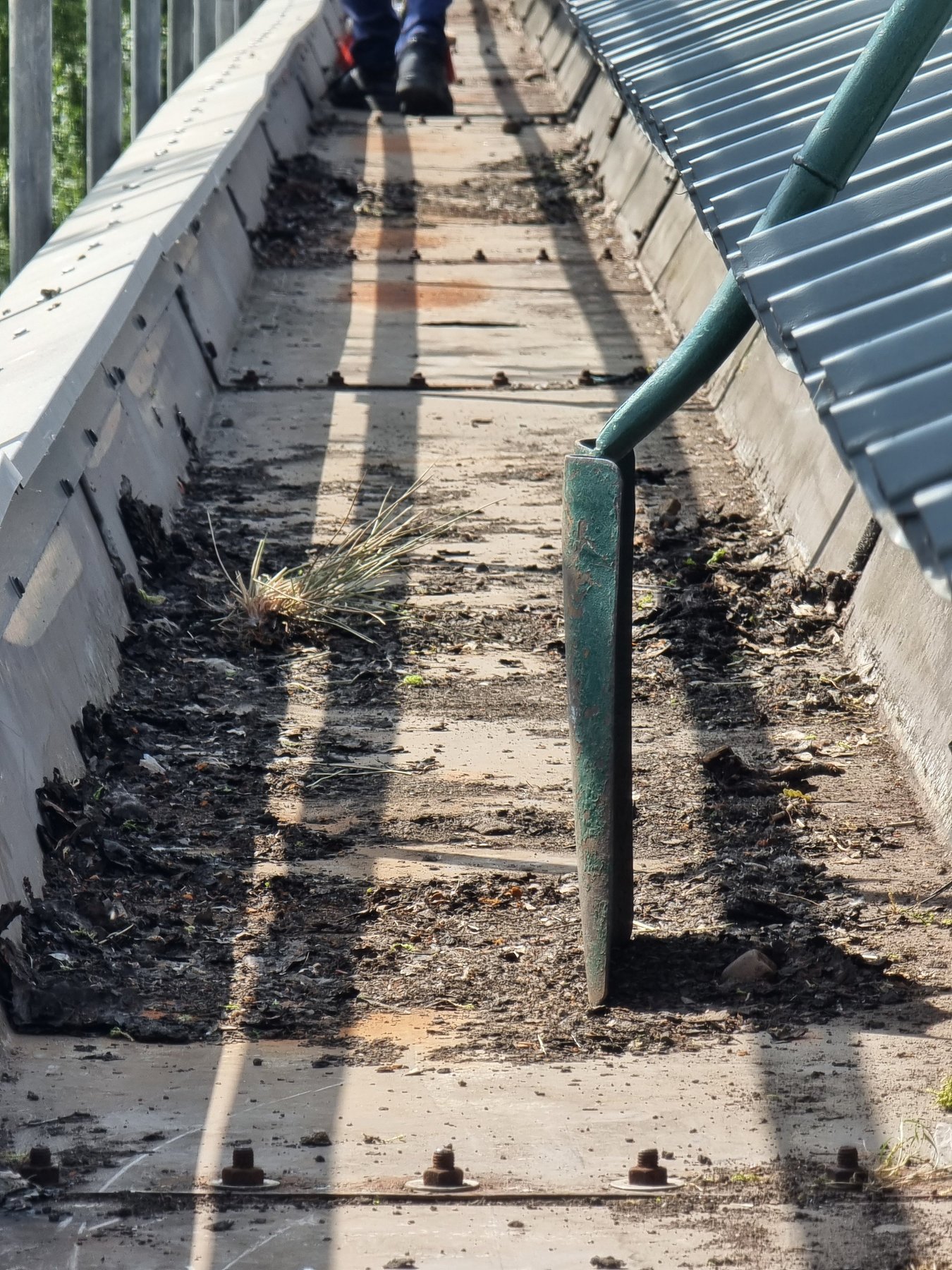 Silt and leaf litter packed the full width
