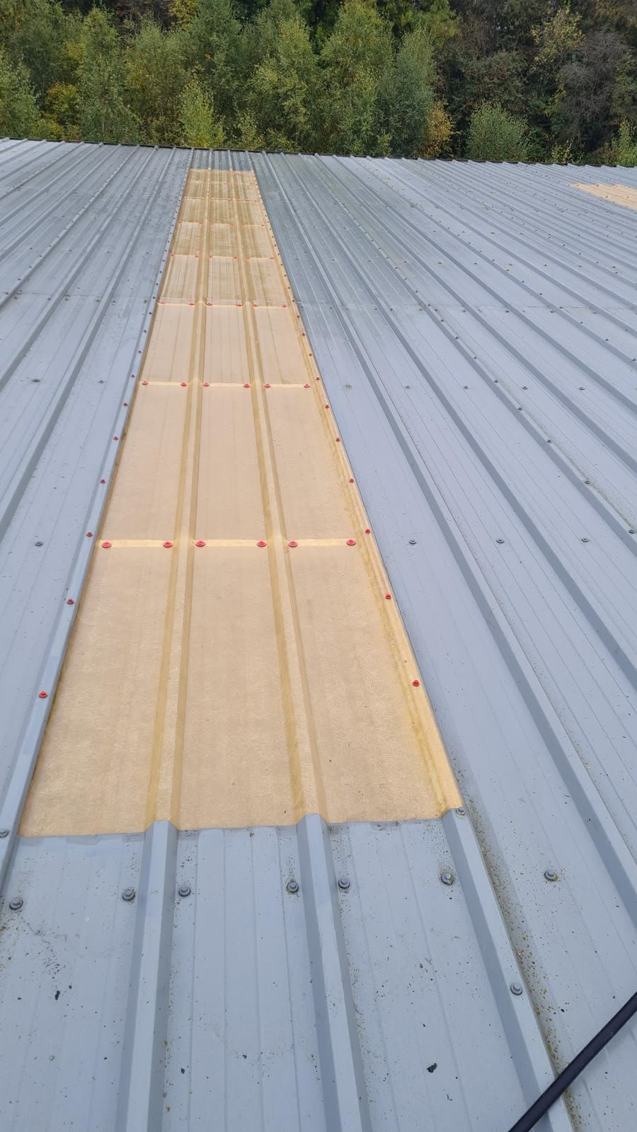 The same run cleaned, with the daylight back